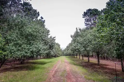 2188 HARKINS LN, Marshall, TX 75672