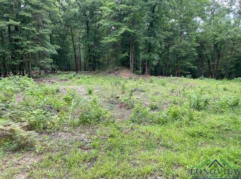 1688 CR 1597, Avinger, TX 75630