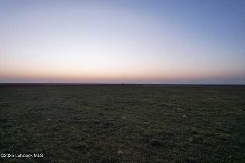 0 US Highway 385, Levelland, TX 79336