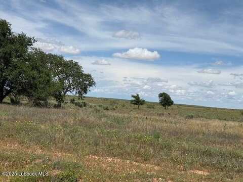 0 S CR 525, Brownfield, TX 79316