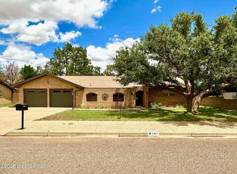 107 Rip Street, Levelland, TX 79336