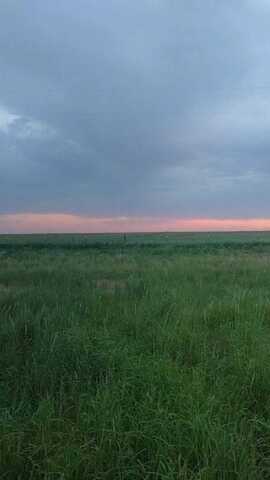17010 N County Road 1000, Shallowater, TX 79363