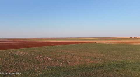 0 FM 211, Brownfield, TX 79316