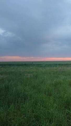 17024 N County Rd 1000, Shallowater, TX 79363