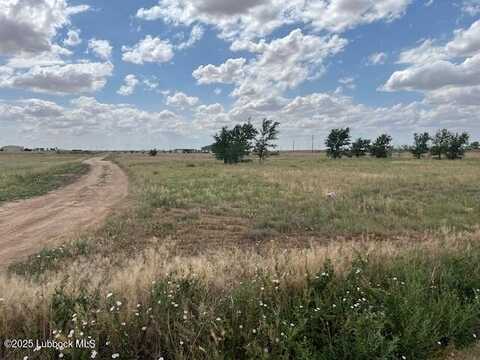 10412 Private Rd 5860, Shallowater, TX 79363