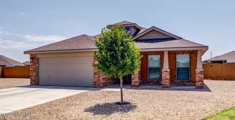 2913 Venita Avenue, Lubbock, TX 79407