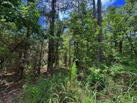 34794 Tapioca Lane, Brookeland, TX 75931