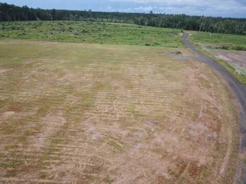 315 PR 5079 County Road 510, Kirbyville, TX 75956