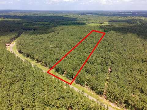 Lot 30 Eagles Nest, Broaddus, TX 75929