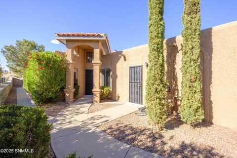 2025 Pinetrail Street, Las Cruces, NM 88012