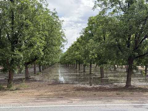 4695 Snow Road, Las Cruces, NM 88005