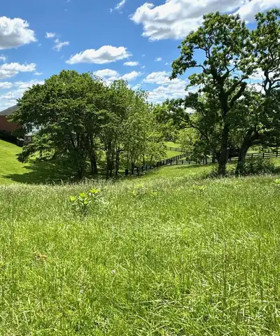 200 Victoria Way, Georgetown, KY 40324
