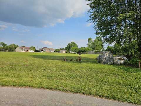 Lot 12 Amber Lane, Hustonville, KY 40437