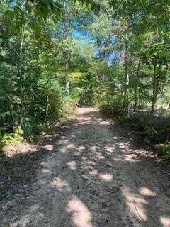 1285 TBD Halsey Fork, Grassy Creek, KY 41472
