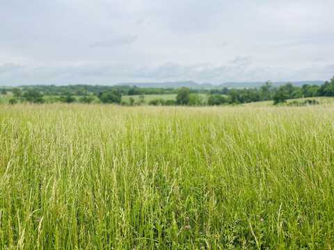 291 Tulip Poplar Lane, Flemingsburg, KY 41041
