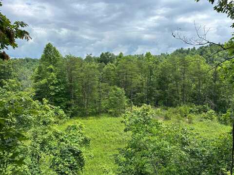 22 Clay Camp Road, Hitchins, KY 41146