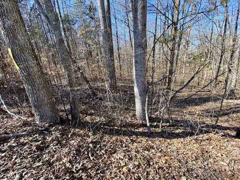 0 Sunset Court, Cadiz, KY 42211