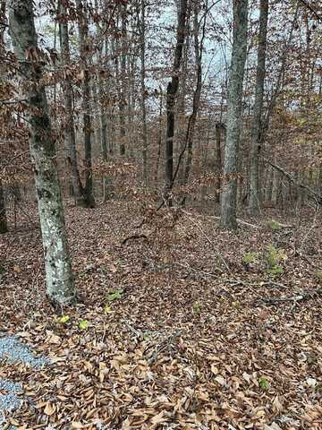 Lot 26 Peach Tree Ln, Russell Springs, KY 42642