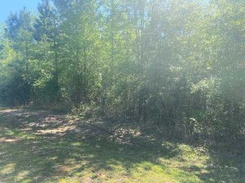 TBD Clarke County Rd 220, Heidelberg, MS 39439