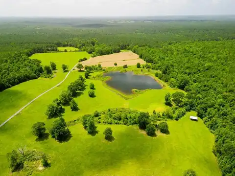 603 Denham Winchester Rd, Waynesboro, MS 39367