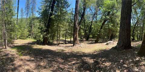 15675 Bottle Rock Road, Cobb, CA 95426