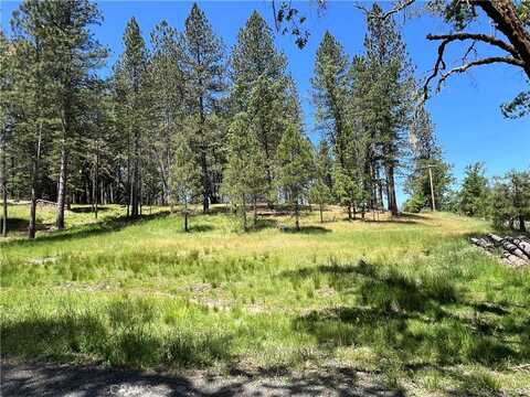 15625 Bottle Rock Road, Cobb, CA 95426