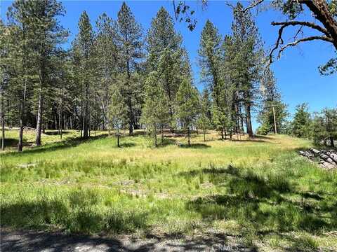 15625 Bottle Rock Road, Cobb, CA 95426