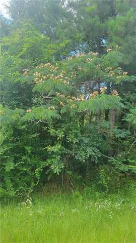 00 COUNTY ROAD 9, TUSKEGEE, AL 36083