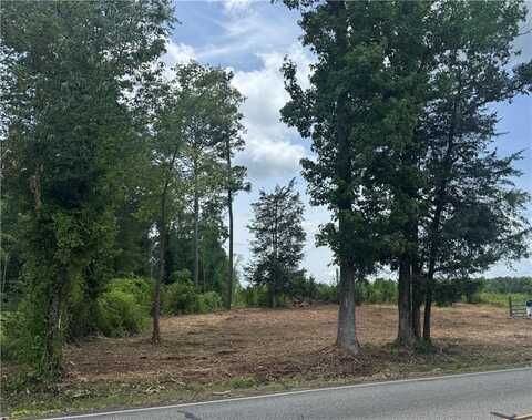 LOT 58 LEE ROAD 266, CUSSETA, AL 36852