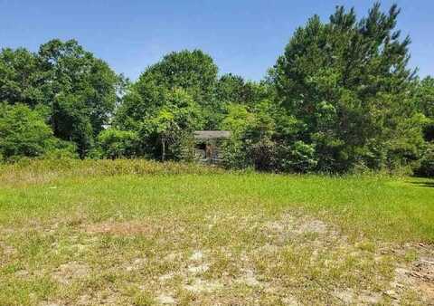 513 WHITLOW STREET, TUSKEGEE, AL 36083