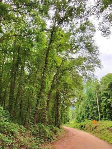 0 COUNTY ROAD 174, OPELIKA, AL 36801