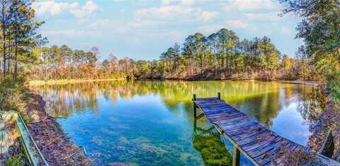 69 SOL BROWN ROAD, AUBURN, AL 36830