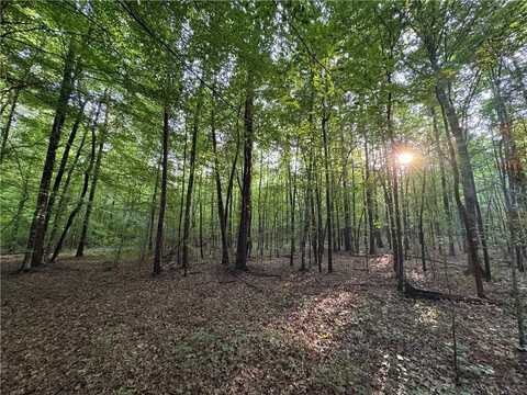 6200 JACKSON, WAVERLY, AL 36879