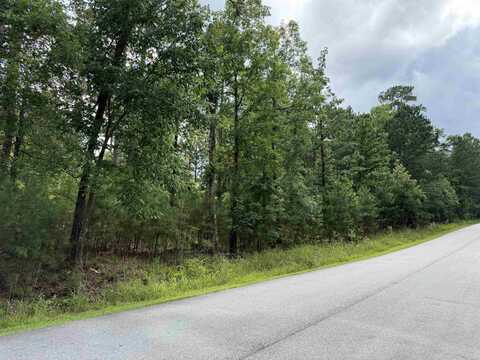 1041 GLEN EAGLE DRIVE, Greensboro, GA 30642