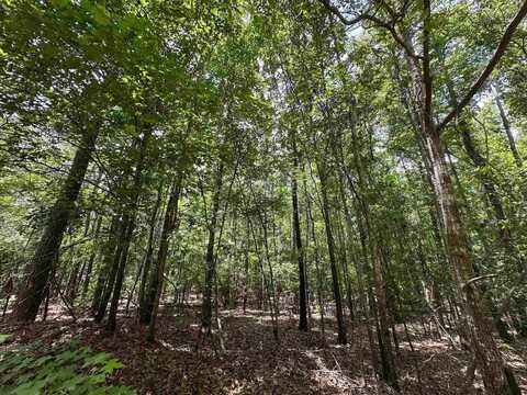 9.82 +/- Acres SPRINGFIELD ROAD, Sparta, GA 31087