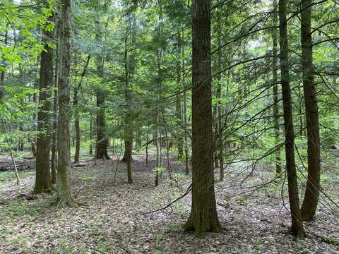 White Road, Parish, NY 13131