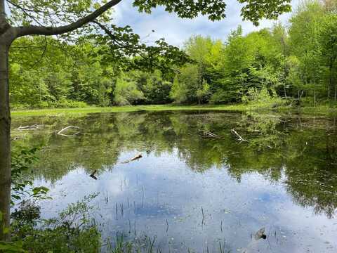 White Road, Parish, NY 13131