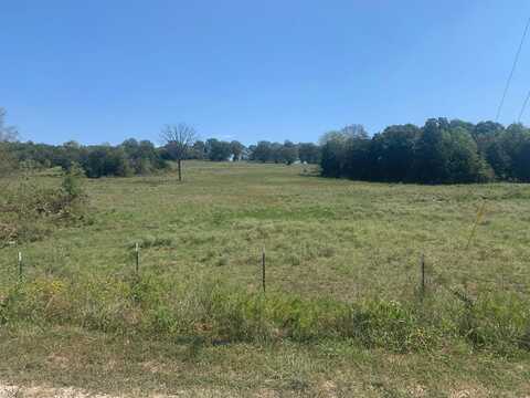 Lot 7 off Rail Hollow Ranch, Gainesville, MO 65761