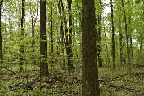 Miller Road, Northeast Ithaca, NY 16428