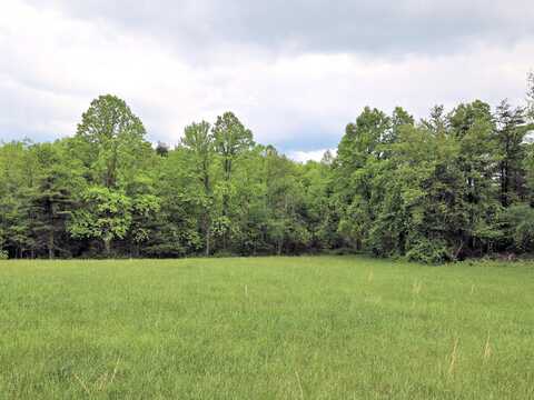Lot 4 Franklin Pike, Floyd, VA 24091