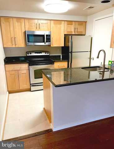 9733 HELLINGLY PL #38, MONTGOMERY VILLAGE, MD 20886