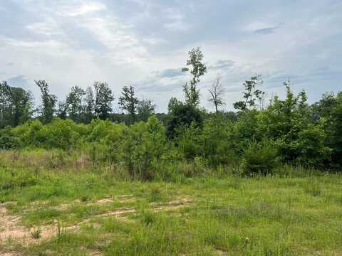 1100 Drybridge Road, Scottsburg, VA 24589