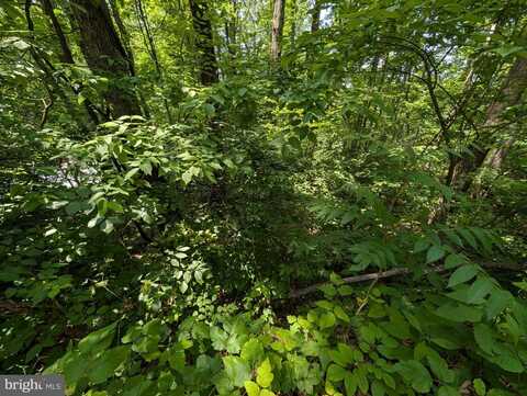 LOT 104 SUMMIT POINT DR, FRONT ROYAL, VA 22630