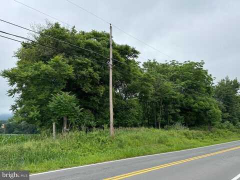 LOT 1 OLD HAGERSTOWN RD, MIDDLETOWN, MD 21769