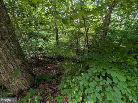 LOT 105 SUMMIT POINT DR, FRONT ROYAL, VA 22630