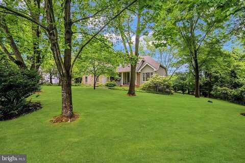 1020 WHITE BIRCH DR, NEWARK, DE 19713