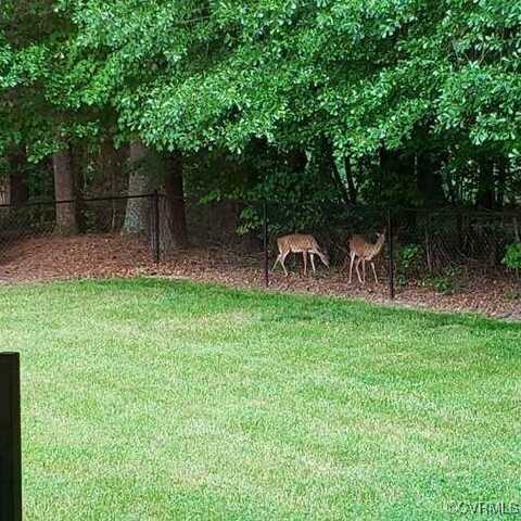 15615 Providence Rd, South Prince George, VA 23805