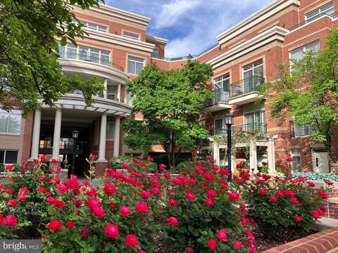 66 FRANKLIN ST #307, ANNAPOLIS, MD 21401