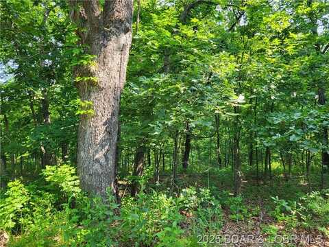 Rachael Place, Edwards, MO 65326