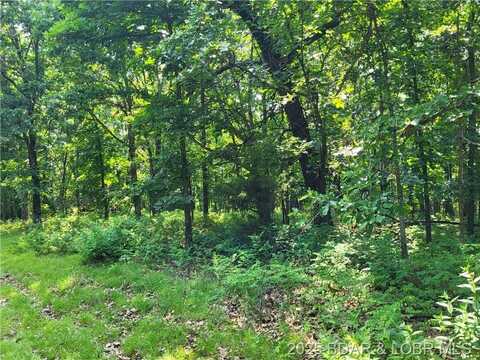 Rolfs Place, Edwards, MO 65326